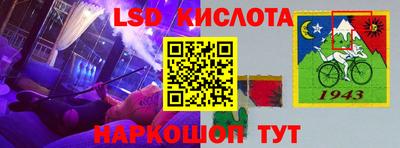 молекула духа Кингисепп