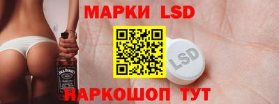 молекула духа Кингисепп