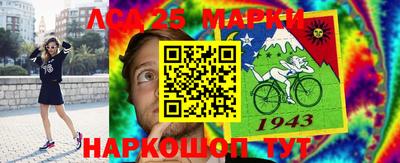 молекула духа Кингисепп