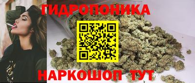 молекула духа Кингисепп
