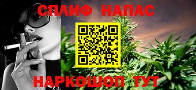 молекула духа Кингисепп