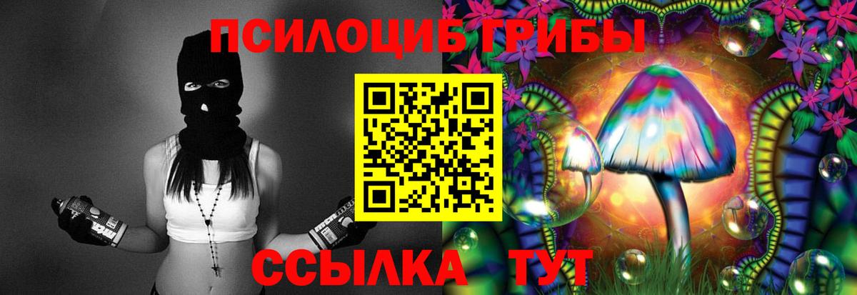 Галлюциногенные грибы Cubensis  Вход с VPN  Электрогорск 