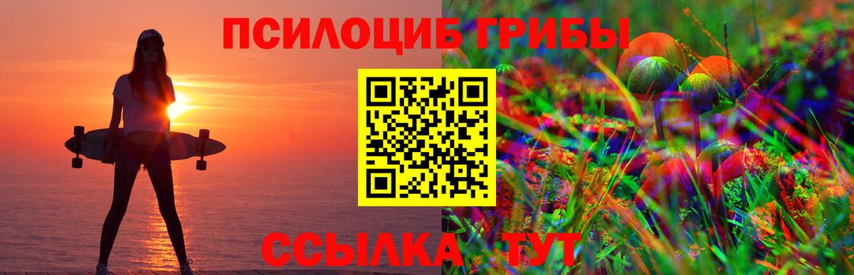 Псилоцибиновые грибы мухоморы Электрогорск